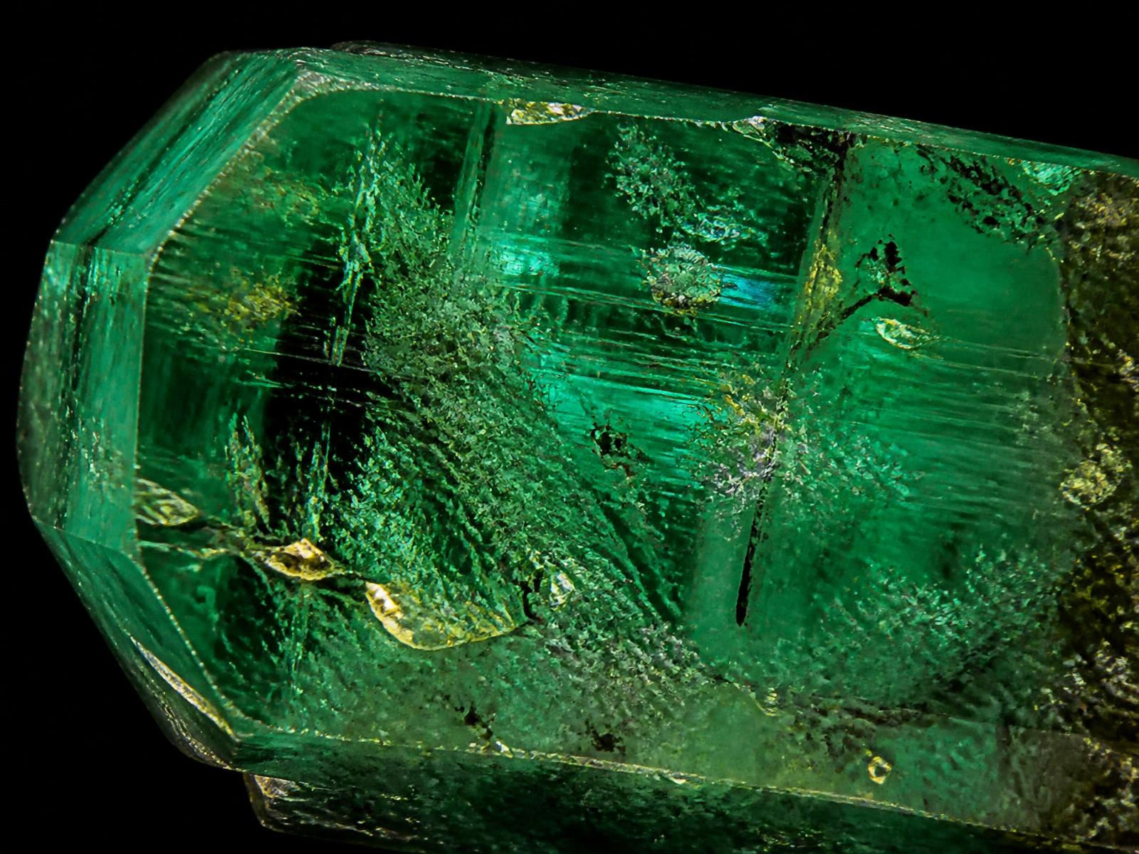 Emerald — three-phase inclusions