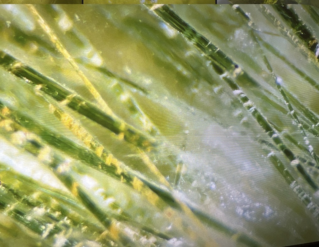 Yellow-green Rutile in Quartz from Saudi Arabia